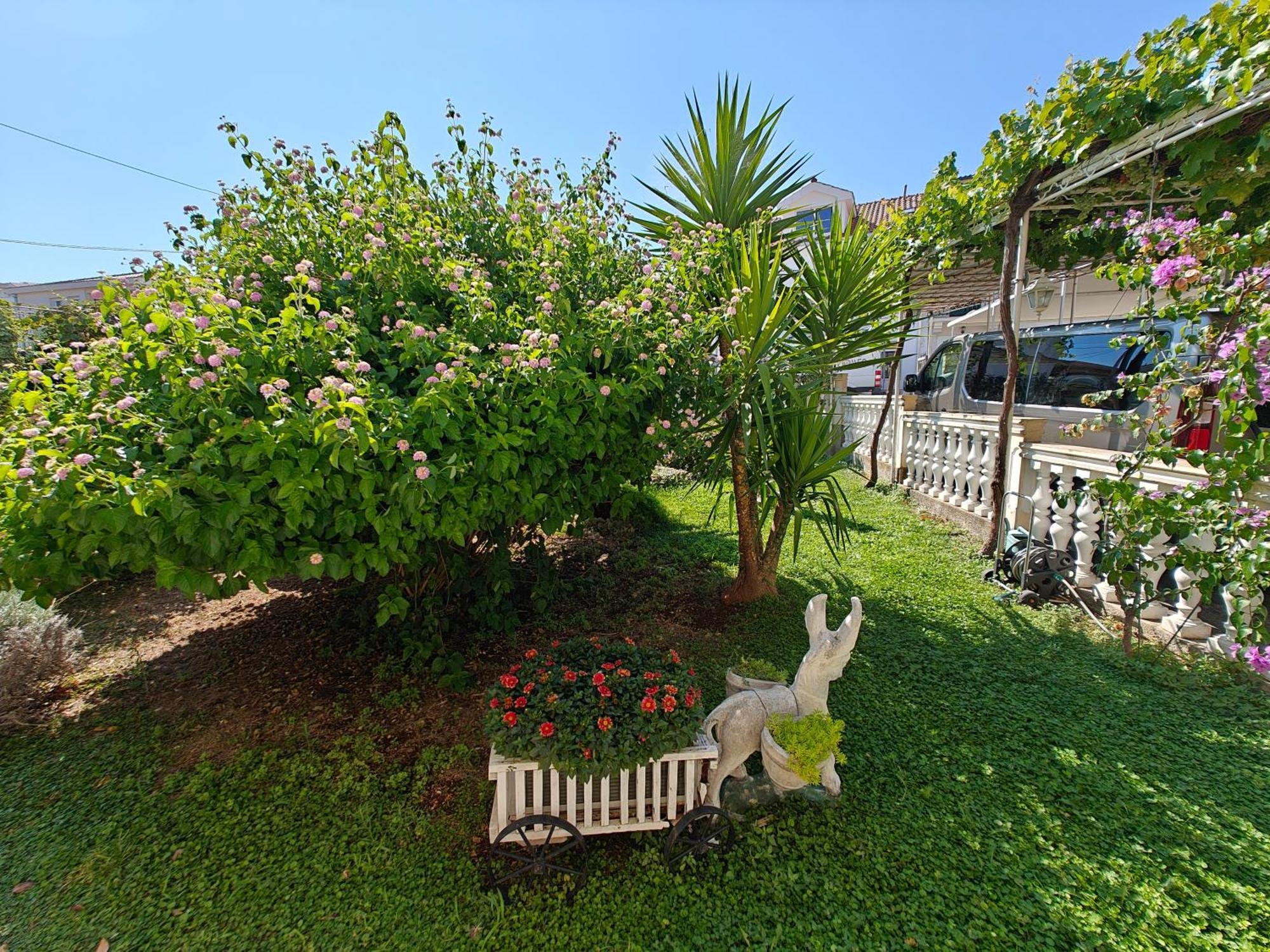 Vikeli Apartment โตรกีร์ ภายนอก รูปภาพ